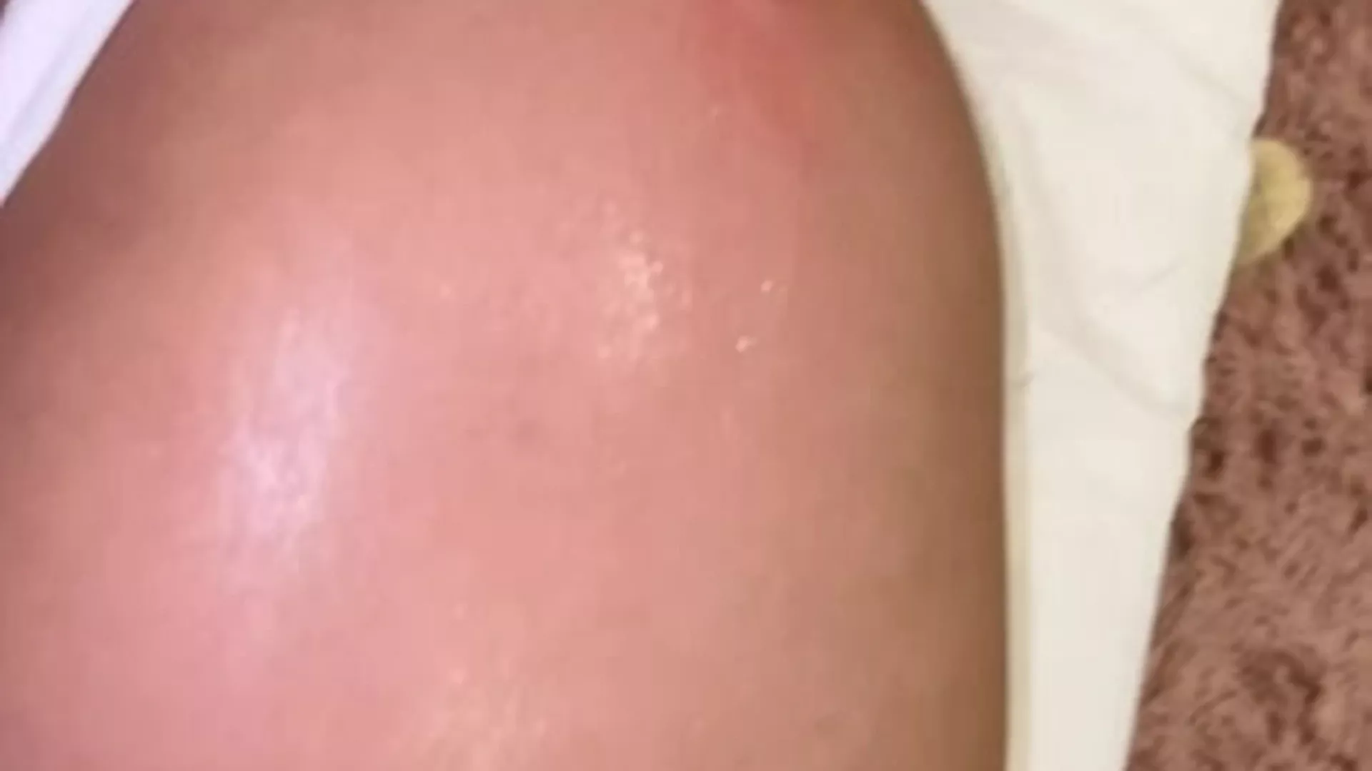 Friend Never Betray Michelle Rabbit